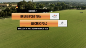 Captura de pantalla 2025-08-15 a las 3.34.13 p. m.